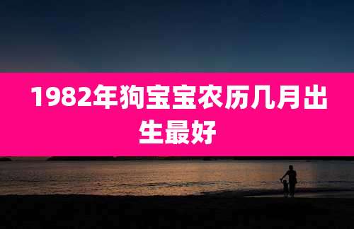 1982年狗宝宝农历几月出生最好