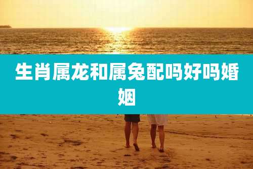 生肖属龙和属兔配吗好吗婚姻