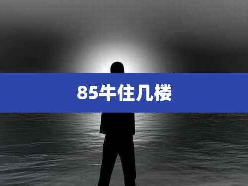 85牛住几楼