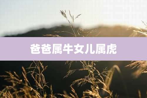 爸爸属牛女儿属虎