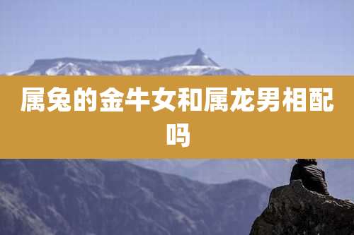 属兔的金牛女和属龙男相配吗
