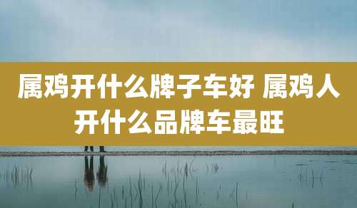 属鸡开什么牌子车好 属鸡人开什么品牌车最旺