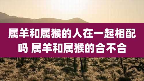属羊和属猴的人在一起相配吗 属羊和属猴的合不合