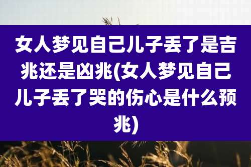 女人梦见自己儿子丢了是吉兆还是凶兆(女人梦见自己儿子丢了哭的伤心是什么预兆)