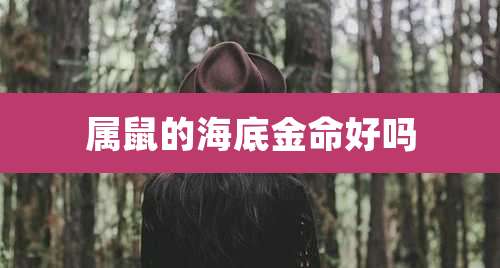 属鼠的海底金命好吗