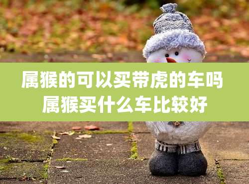 属猴的可以买带虎的车吗 属猴买什么车比较好