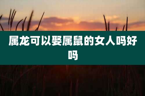 属龙可以娶属鼠的女人吗好吗