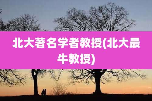 北大著名学者教授(北大最牛教授)