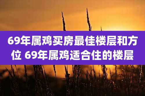 69年属鸡买房最佳楼层和方位 69年属鸡适合住的楼层