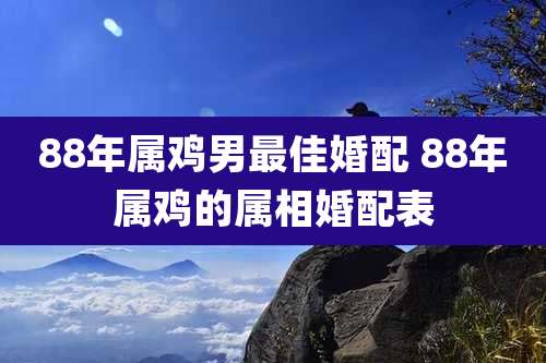 88年属鸡男最佳婚配 88年属鸡的属相婚配表