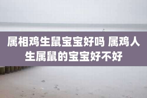 属相鸡生鼠宝宝好吗 属鸡人生属鼠的宝宝好不好