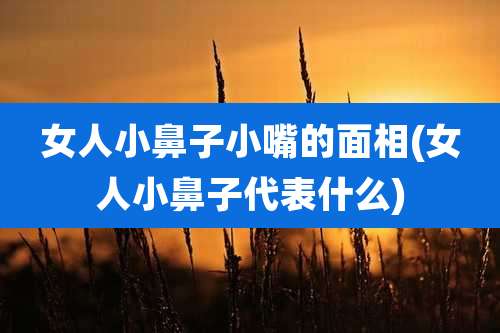 女人小鼻子小嘴的面相(女人小鼻子代表什么)