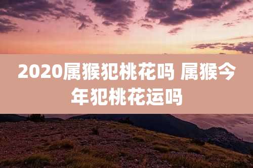 2020属猴犯桃花吗 属猴今年犯桃花运吗