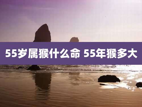 55岁属猴什么命 55年猴多大