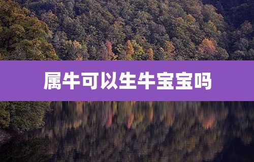 属牛可以生牛宝宝吗