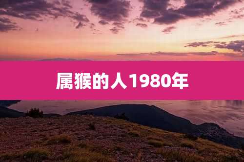 属猴的人1980年