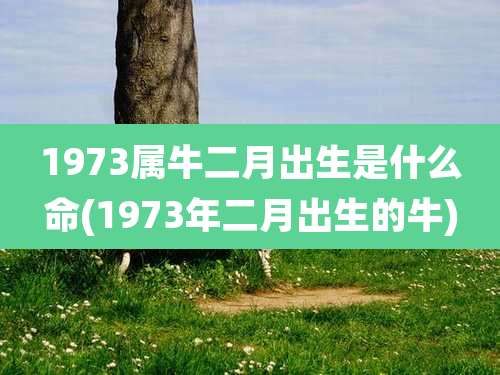 1973属牛二月出生是什么命(1973年二月出生的牛)