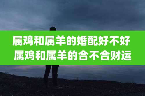 属鸡和属羊的婚配好不好 属鸡和属羊的合不合财运