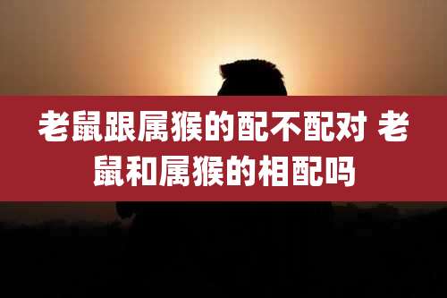 老鼠跟属猴的配不配对 老鼠和属猴的相配吗