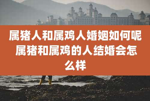 属猪人和属鸡人婚姻如何呢 属猪和属鸡的人结婚会怎么样