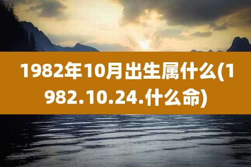 1982年10月出生属什么(1982.10.24.什么命)