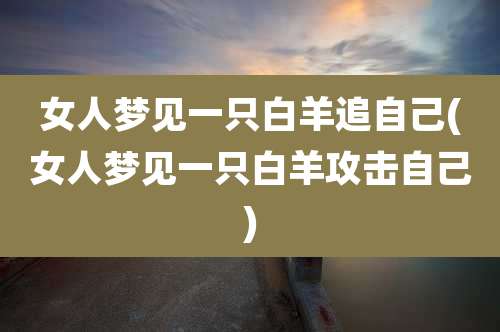 女人梦见一只白羊追自己(女人梦见一只白羊攻击自己)