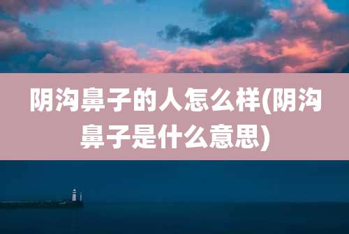 阴沟鼻子的人怎么样(阴沟鼻子是什么意思)