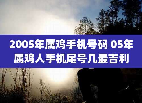 2005年属鸡手机号码 05年属鸡人手机尾号几最吉利