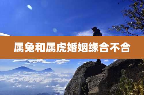 属兔和属虎婚姻缘合不合