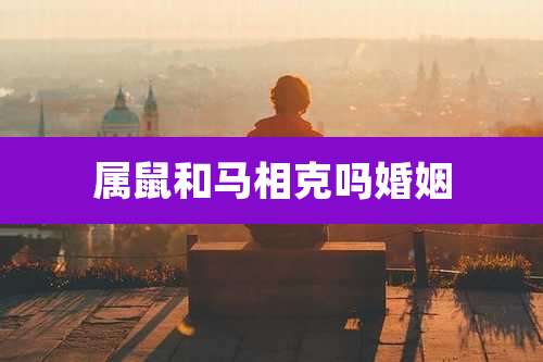 属鼠和马相克吗婚姻