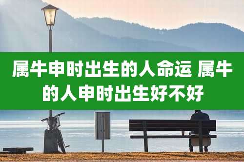 属牛申时出生的人命运 属牛的人申时出生好不好