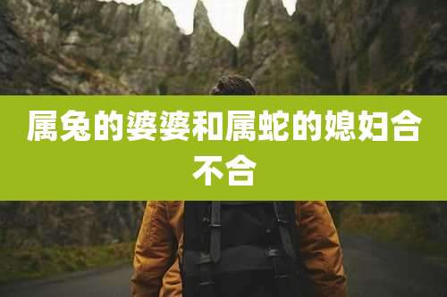 属兔的婆婆和属蛇的媳妇合不合