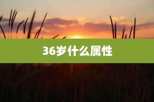 36岁什么属性