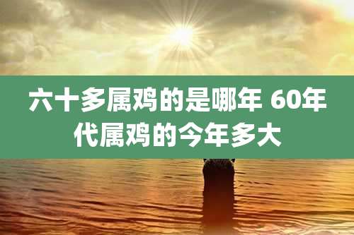 六十多属鸡的是哪年 60年代属鸡的今年多大
