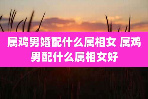 属鸡男婚配什么属相女 属鸡男配什么属相女好