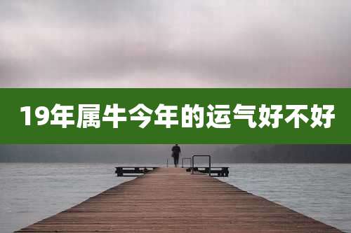 19年属牛今年的运气好不好