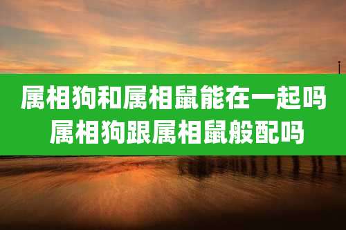 属相狗和属相鼠能在一起吗 属相狗跟属相鼠般配吗