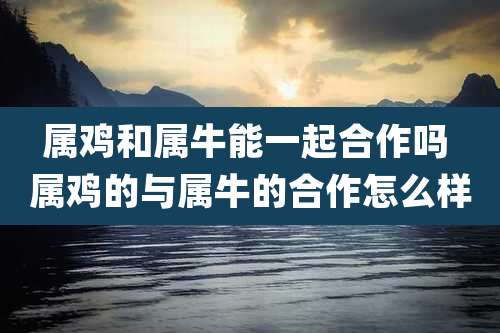 属鸡和属牛能一起合作吗 属鸡的与属牛的合作怎么样
