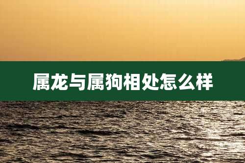 属龙与属狗相处怎么样