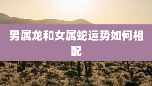 男属龙和女属蛇运势如何相配