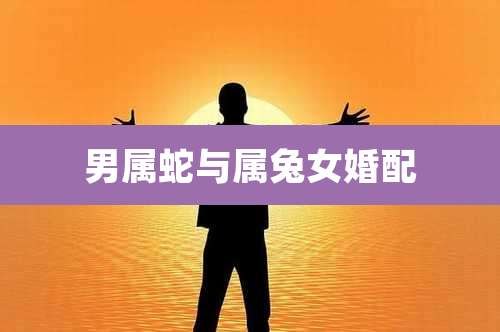 男属蛇与属兔女婚配