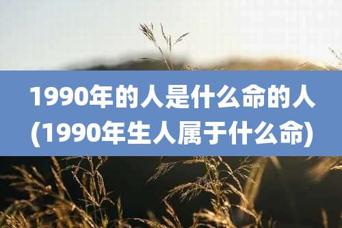 1990年的人是什么命的人(1990年生人属于什么命)