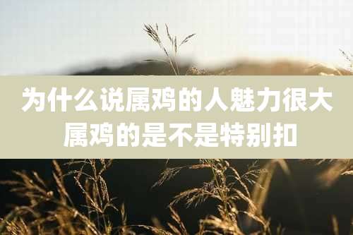 为什么说属鸡的人魅力很大 属鸡的是不是特别扣