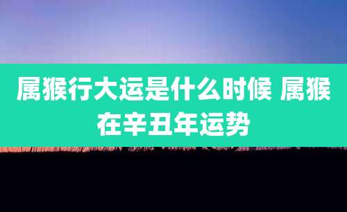 属猴行大运是什么时候 属猴在辛丑年运势