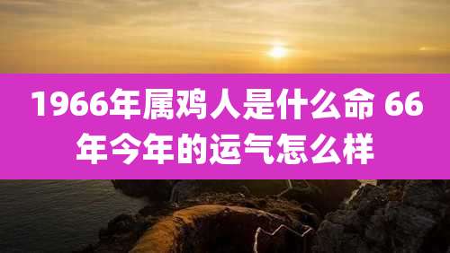 1966年属鸡人是什么命 66年今年的运气怎么样