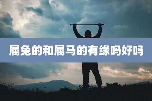 属兔的和属马的有缘吗好吗