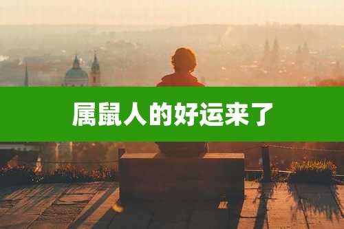 属鼠人的好运来了