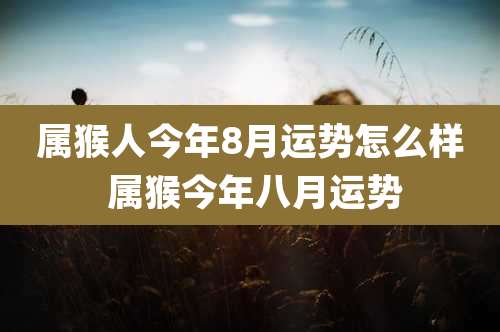 属猴人今年8月运势怎么样 属猴今年八月运势
