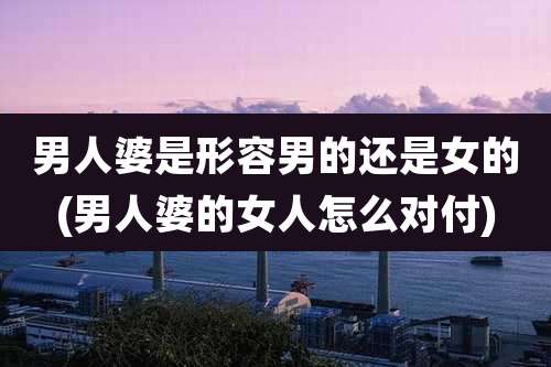 男人婆是形容男的还是女的(男人婆的女人怎么对付)