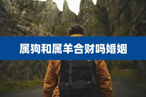 属狗和属羊合财吗婚姻